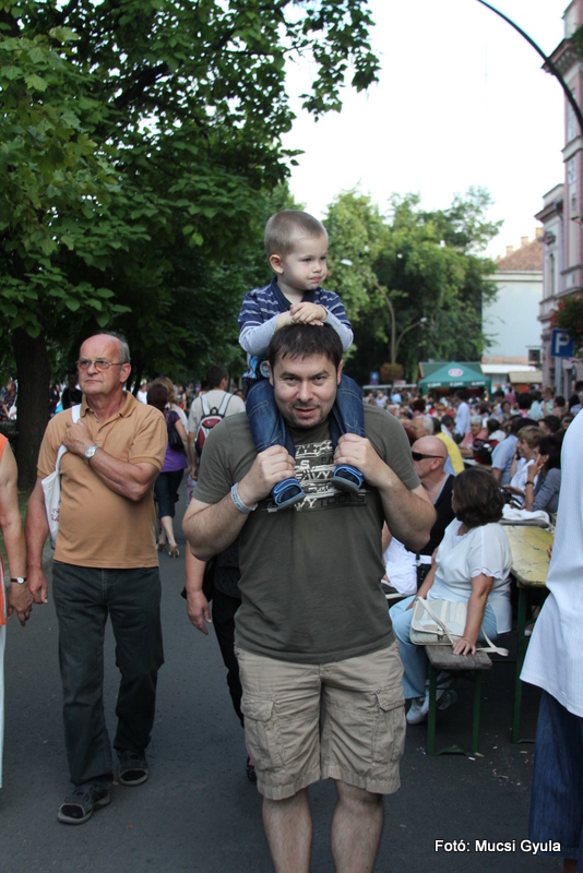 Felvonulás és gálaműsor a főtéren -Fotó: Mucsi Gyula